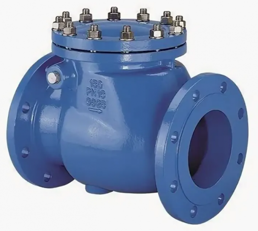 Клапан обратный Hawle 9830 dn65 pn16 в Чите